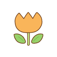 tulip_02_orange