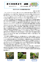 むくのきだより6月号 -巻頭言.pdfの1ページ目のサムネイル
